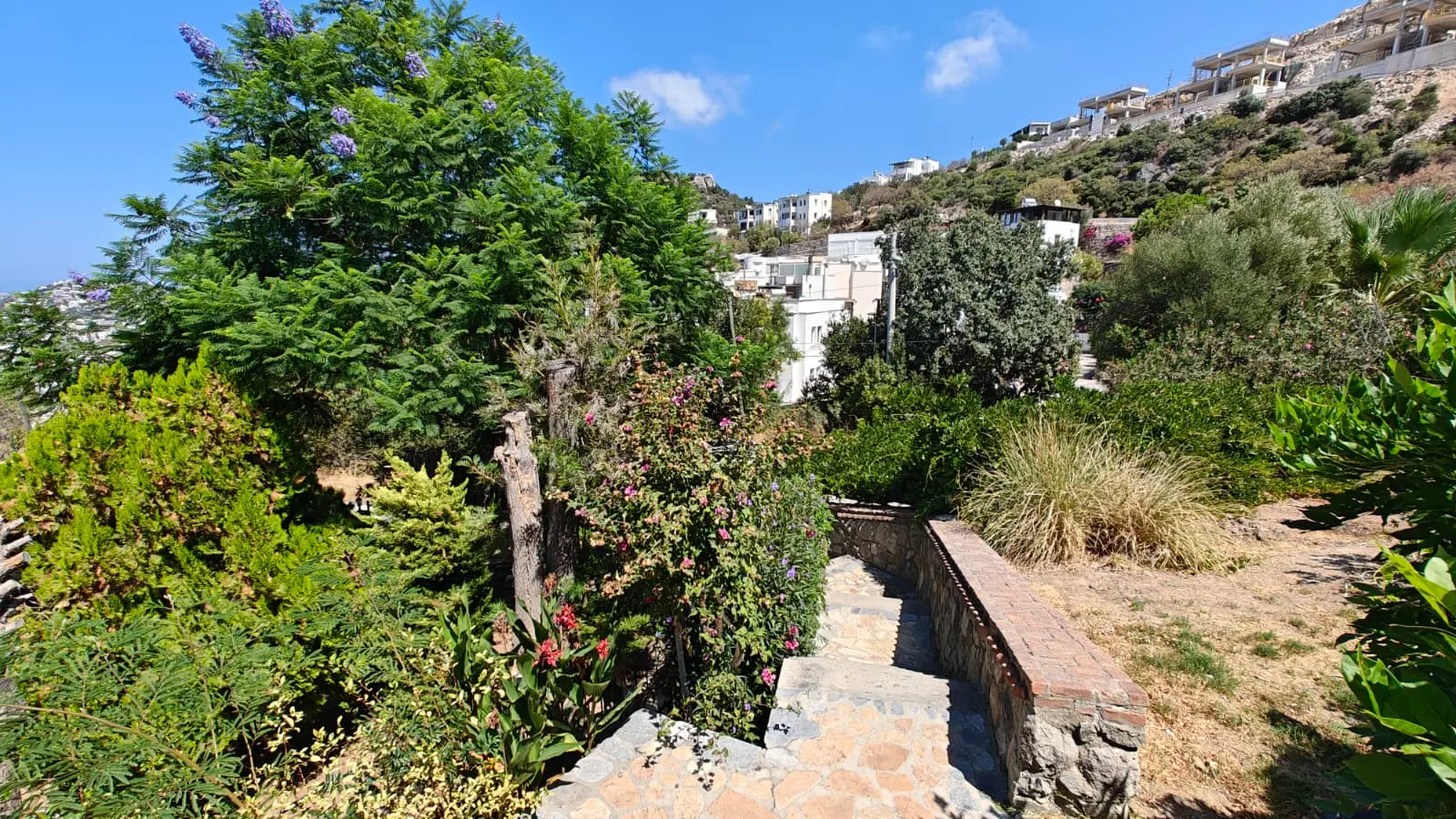 Garden area